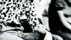 饶威八卦,揭秘娱乐圈背后的神秘故事