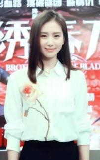 刘诗诗下体照片,网络暴力下的明星隐私边界