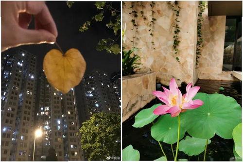 窦饶背景,从草根逆袭到商业巨头的传奇人生