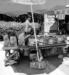 卖身体照片,身体照片背后的黑暗产业链